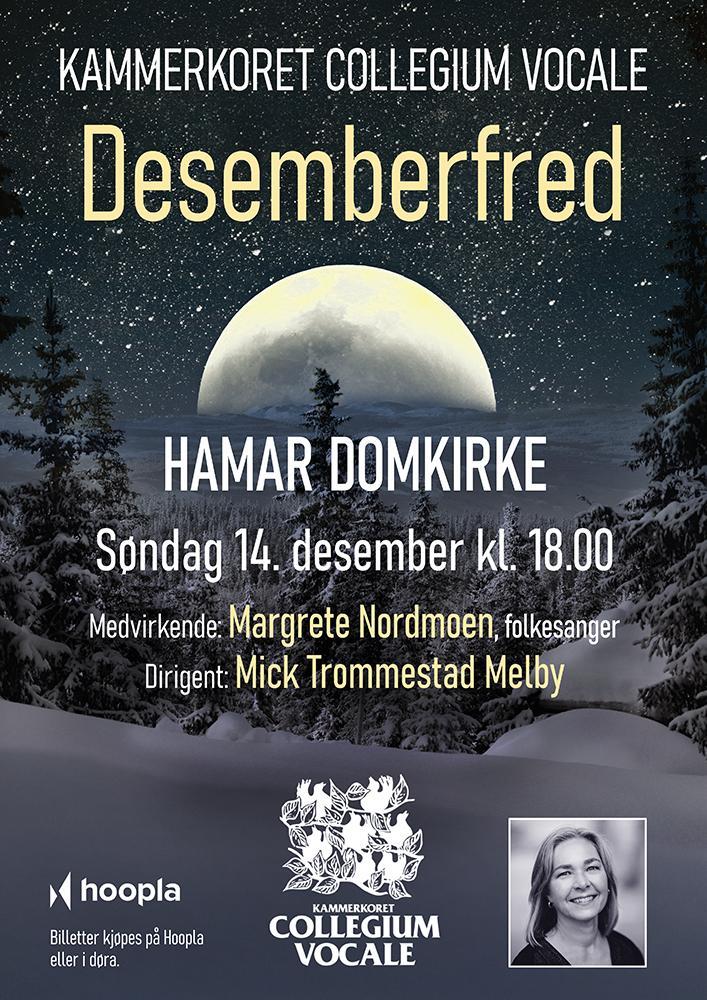 Plakat Desemberfred
