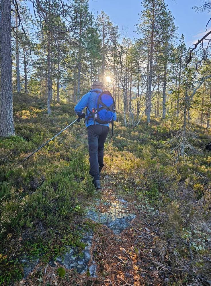 På veg mot Roan