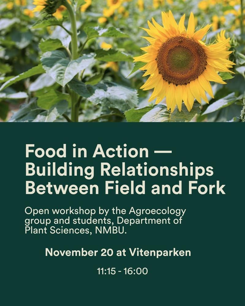 Plakat Food in action—Building relationships between field and fork