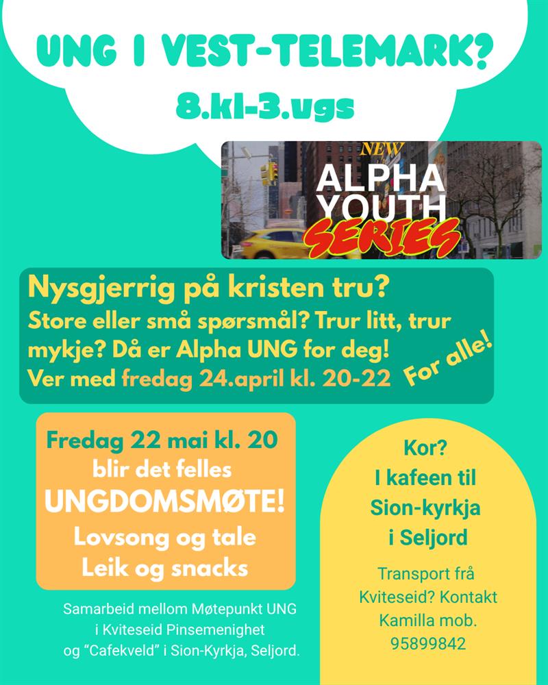Felles ungdomsmøte - Vest-Telemark.no