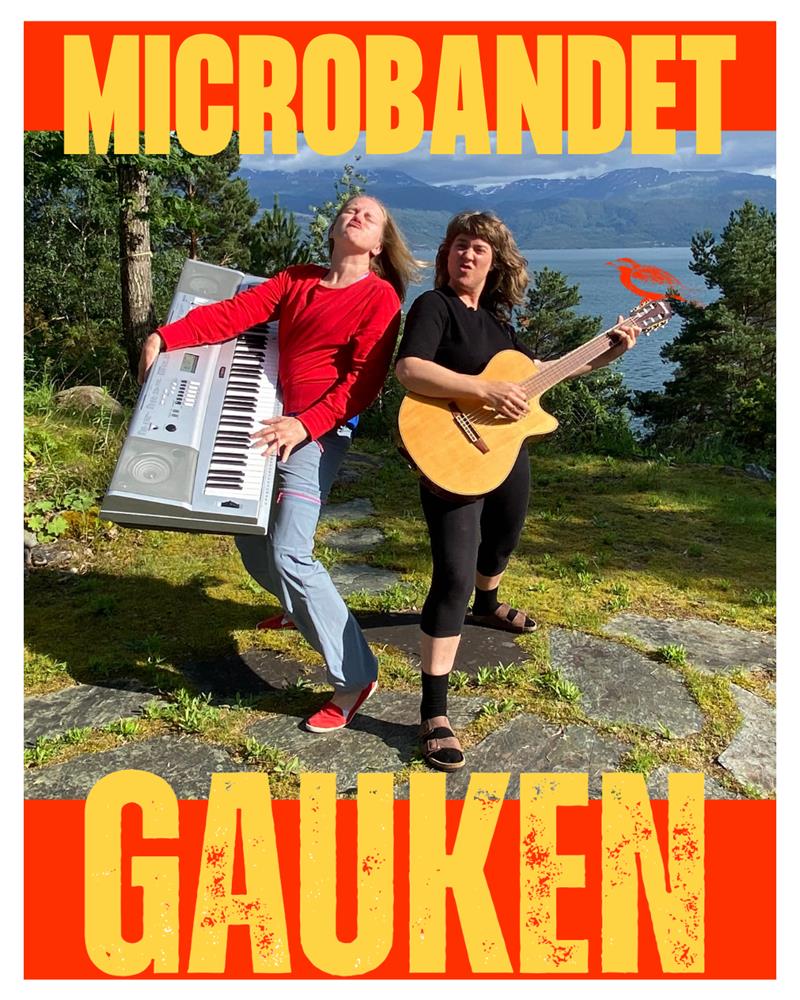 Microbandet