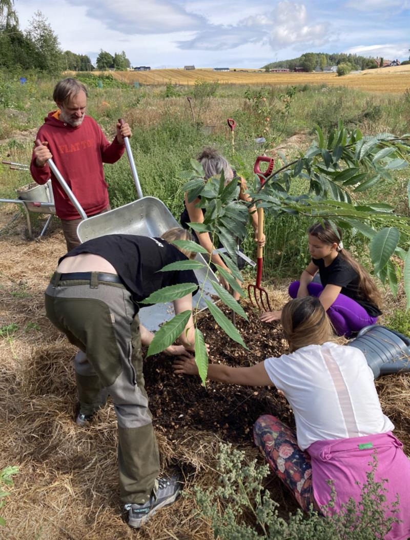 Plakat Tirsdagstreff i åkeren