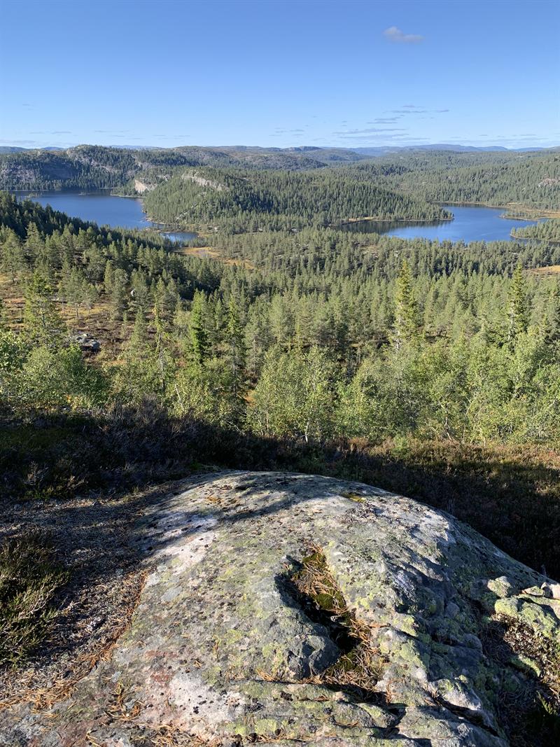 Utsikt mot Gjevarvatn og Ufstjønn