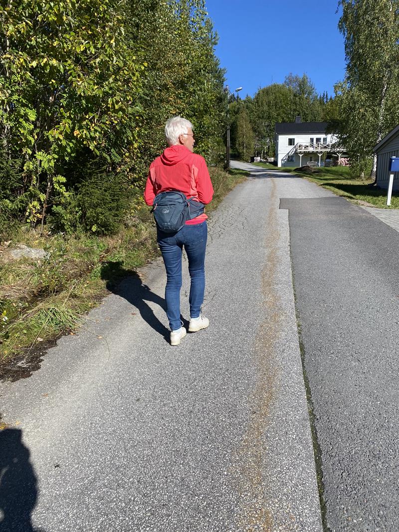 Plakat Turmarsj
