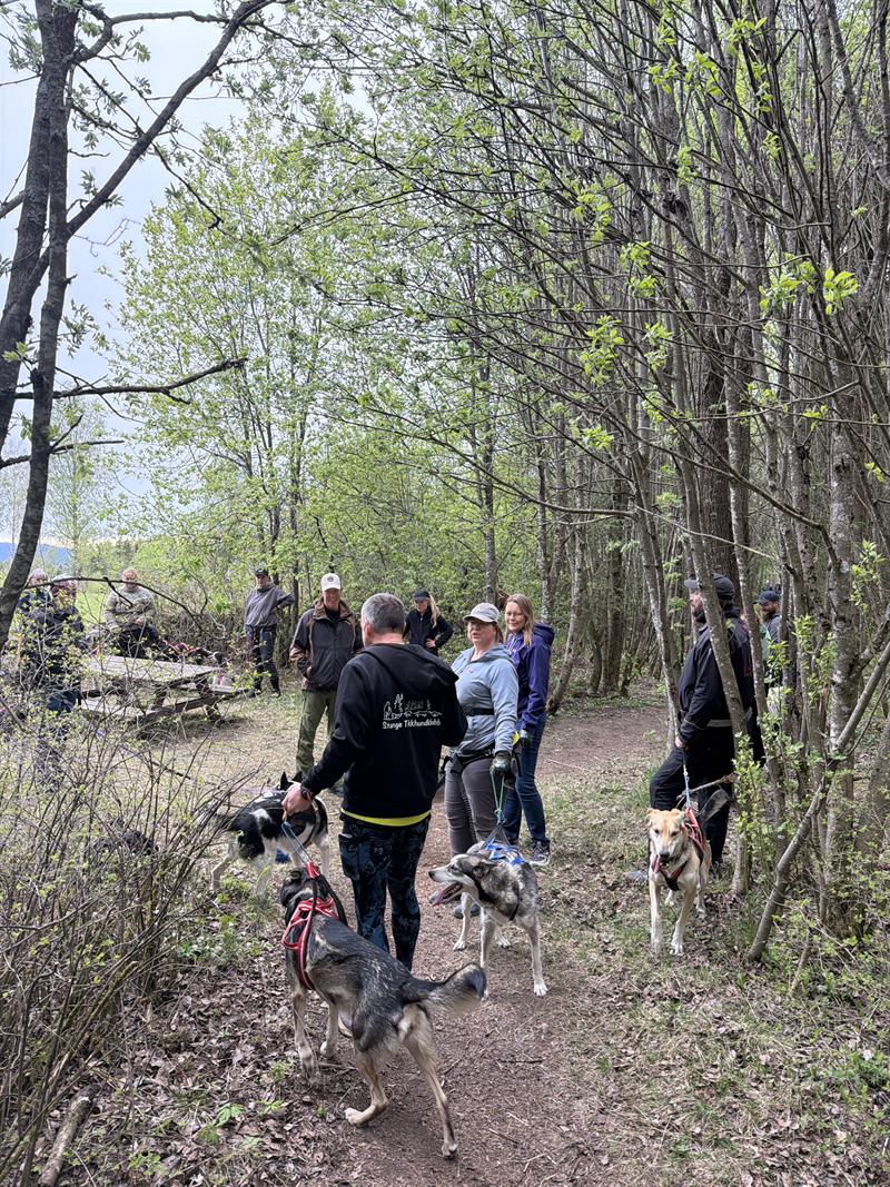 Plakat Tur med hund 4 Skjærnekken 10 turer i Stange