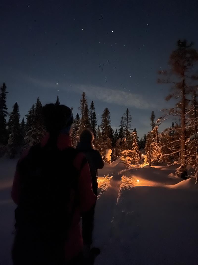 Plakat Måneskinnstur på truger