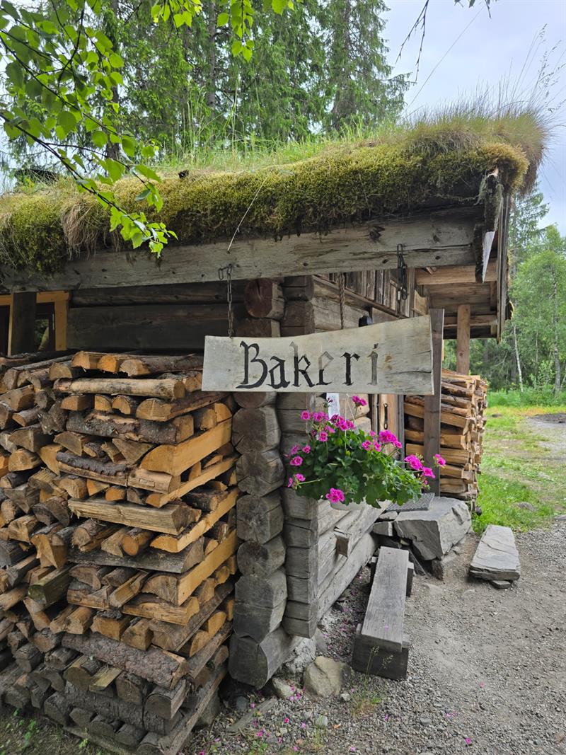 Mjonøy