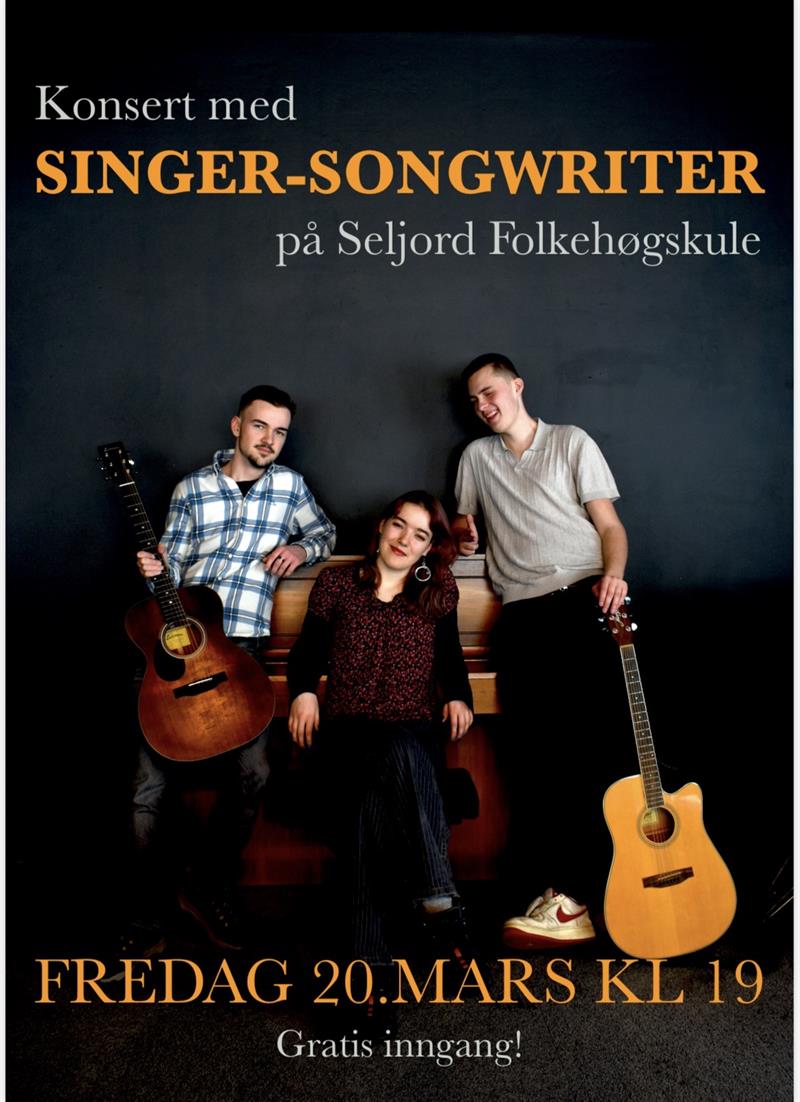 Singer-songwriter, Seljord Folkehøgskule