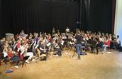 Vest-Telemarkstemne KONSERT