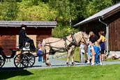 Familiedagen i Eidsborg 2026