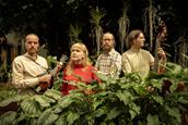 Konsert med Open String Department