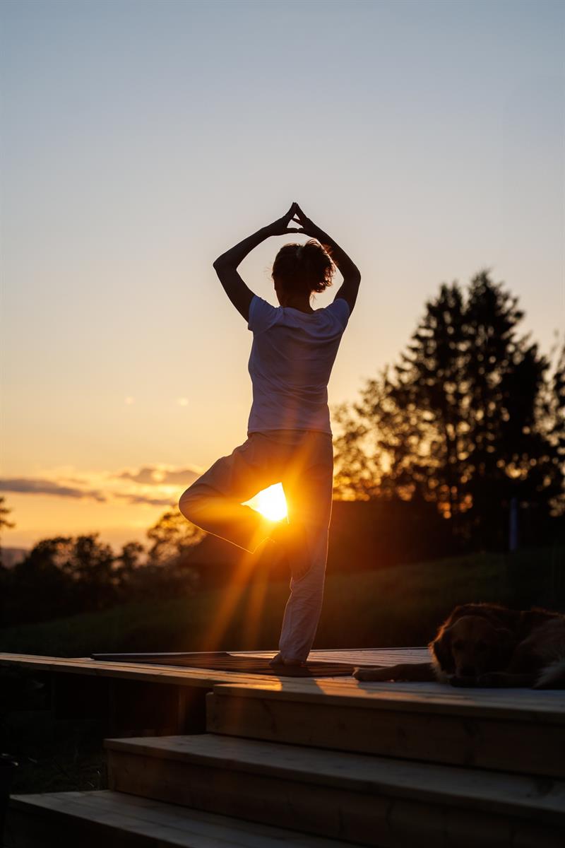 Yoga - klassisk hatha