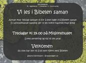 Vi les i Bibelen saman
