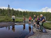 Tur til Berrfjell 1060 moh*, Hærstadheia - 4 timar/10 km