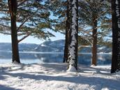 Årsmøte i Fyresdal Turlag - i næringshagen, møterom Roan