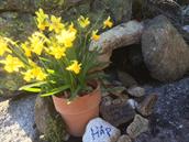 Gudsteneste 1.påskedag