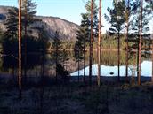 Tur i nærområdet 3 timar/ 4 km.