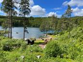 Varmebading med instruksjon
