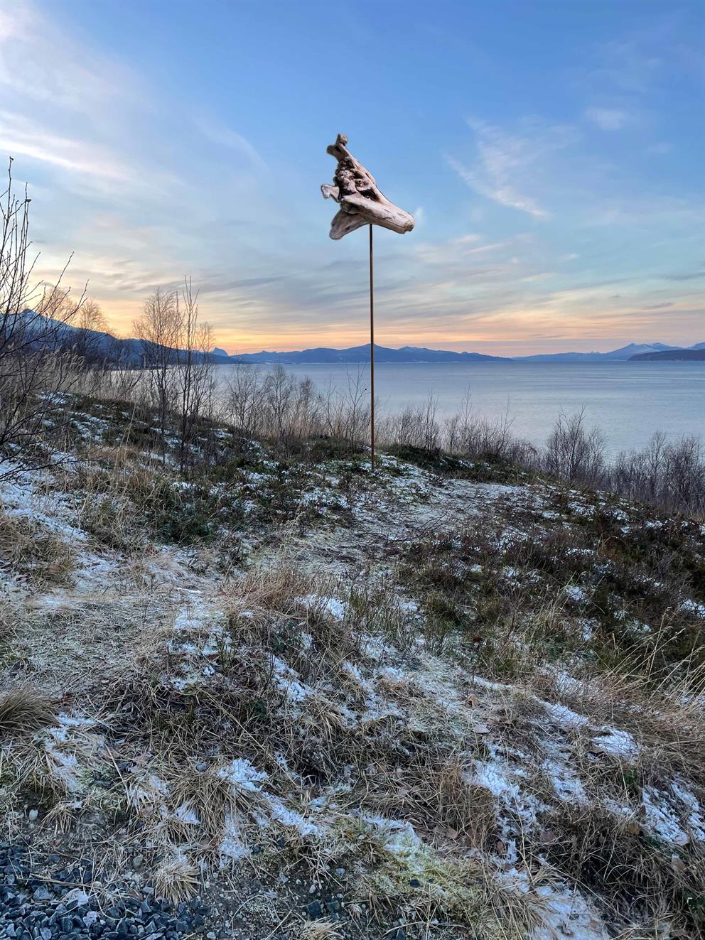 Kunstvandring i den nye skulpturparken "Voktere ved stien", Lyngdalsstien i Narvik.