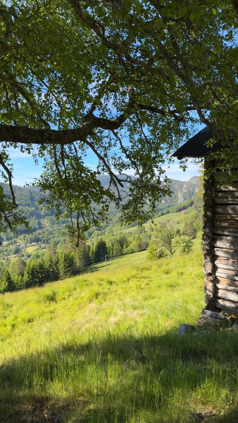 Lanseringsarrangement for stadnamnprosjektet i Seljord - Vest-Telemark.no