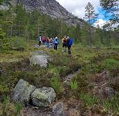 Tur frå Basthommen til Momraksgrend - 3 timar/5 km