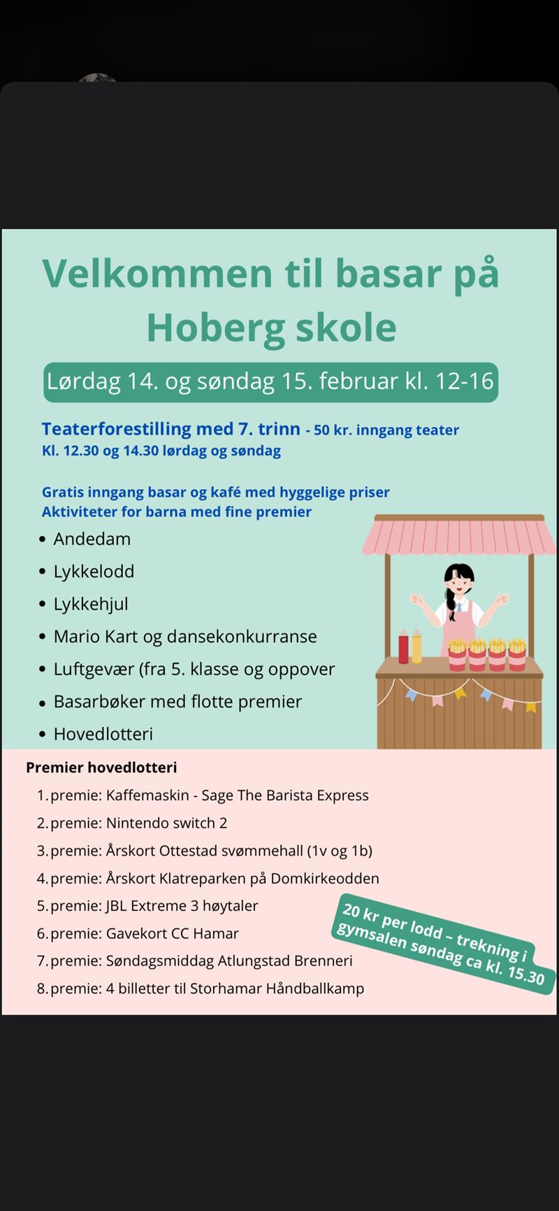 Plakat Baserene - Hoberg Skole