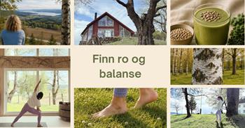 Arrangementsbilde