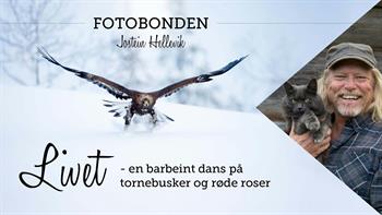 Livet - en barbeint dans på tornebusker og røde roser v/Jostein Hellevik