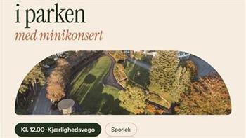 Piknik i parken med minikonsert