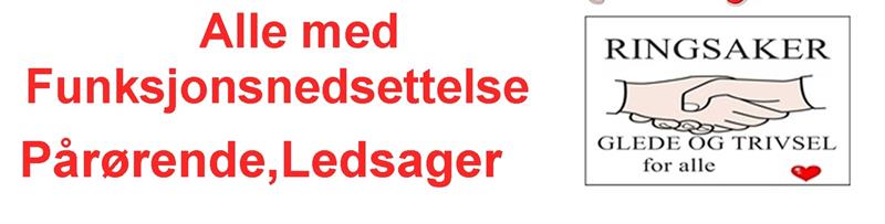 Plakat Ringsaker Glede og trivsel for Alle. PØLSEFEST