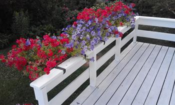 Danseaften på Løten helsetun