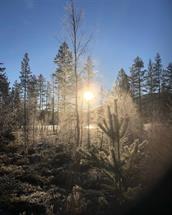 Solliåsen, vandretur. Hauggrend, Fyresdal. 3 timar/ 6 km.