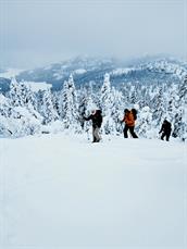 Guida topptur til Hægefjell