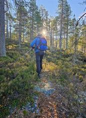 Tur til Roan 1191 moh* - Hauggrend - 4 timar/8 km