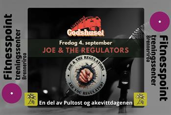 Joe & The Regulators