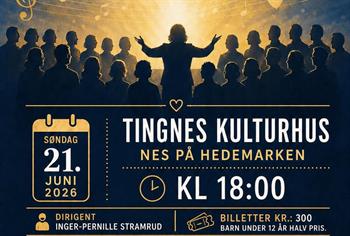 Arrangementsbilde