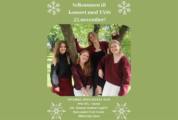 Arrangementsbilde