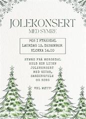 Jolekonsert med Symre Bang på POS