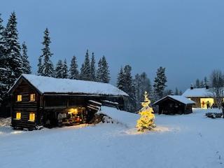 Jolemarknad