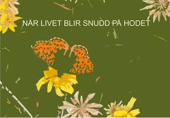 Arrangementsbilde