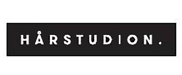 Logo, Hårstudion.