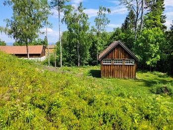 Vil du være med opp på gravhaugen?