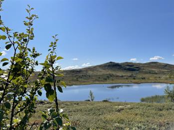 Flotte fjellopplevelser for alle damer