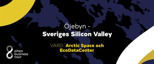 Arctic Space och EcoDataCenter