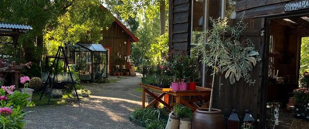 Piteå Handel och Trädgård