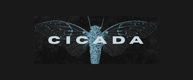 Cicada Band