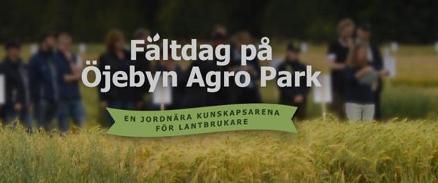 Fältdag