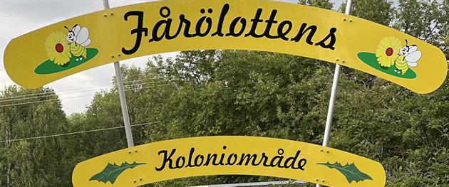 Fårölottens dag