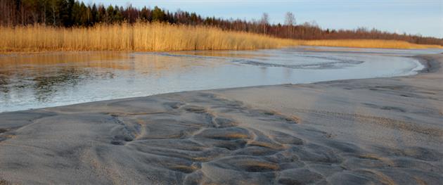 Sandängesstranden höst, Stina Eriksson