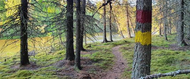 Half of the yellow trail follow the river toward Långnäs., Evelina Sandberg